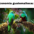 quetzales