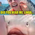 Listen Linda.... Listen.