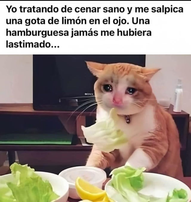 Para una vez que intento comer pescao - meme