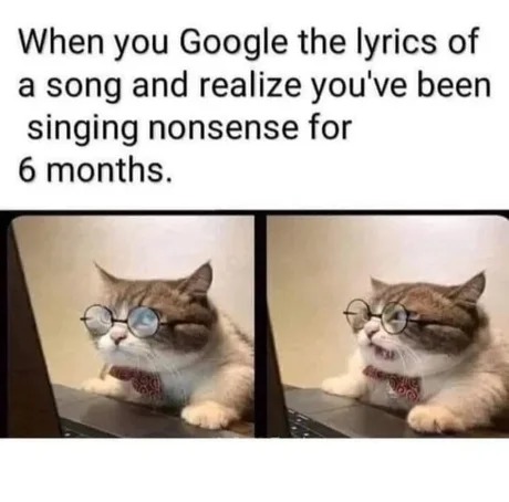 Google meme
