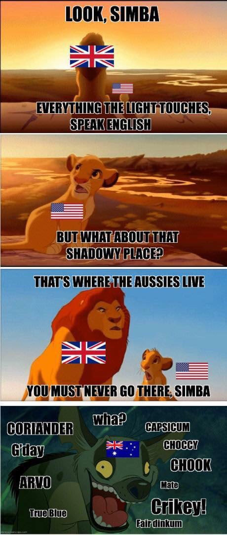 This is why there are no lions in Australia - meme