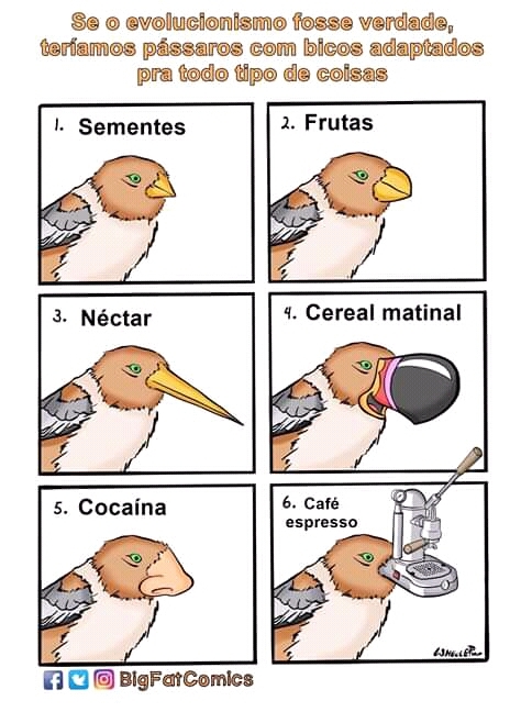 Pássaro do Aécio - meme
