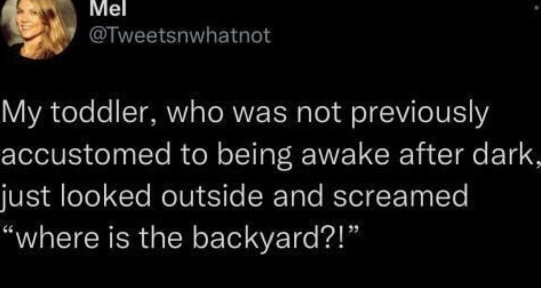 Toddler saw night for the first time and panicked - meme