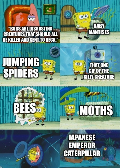 Some Bugs aren't bad - meme
