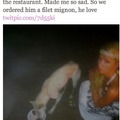 Paris hilton treating dem dogs with some fine food