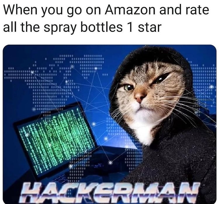 hackercat - meme
