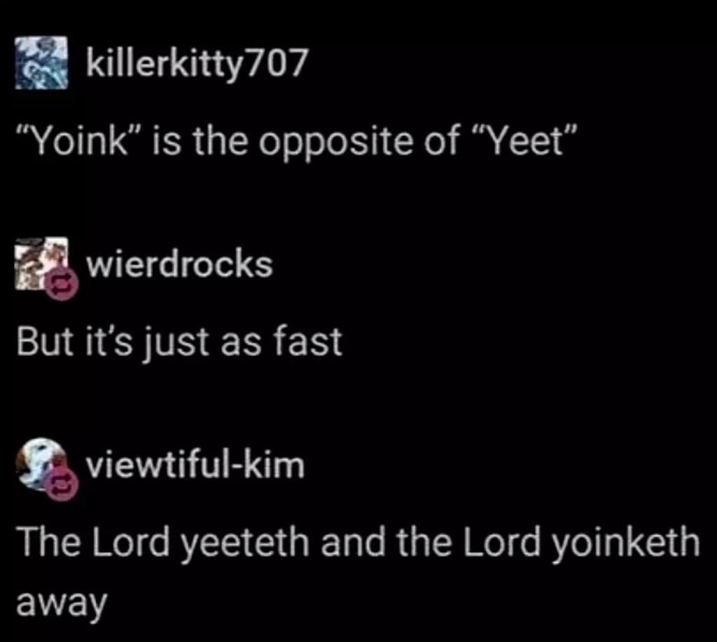 The Book of Yeet - meme