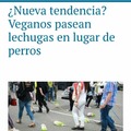 Lechugas >>> Perros