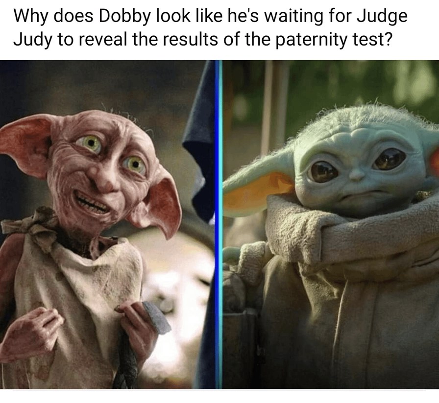 Dobby waiting for Judge Judy to reeal the results of the paternity test - meme