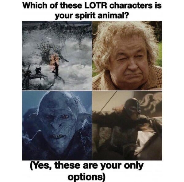 Which of these LOTR characters is your spirit animal? - meme