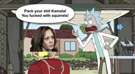 Kamala Harris losing meme