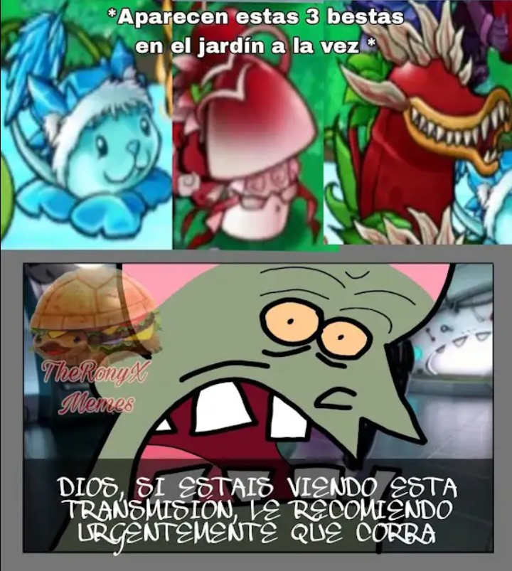 No se que poner de título - meme