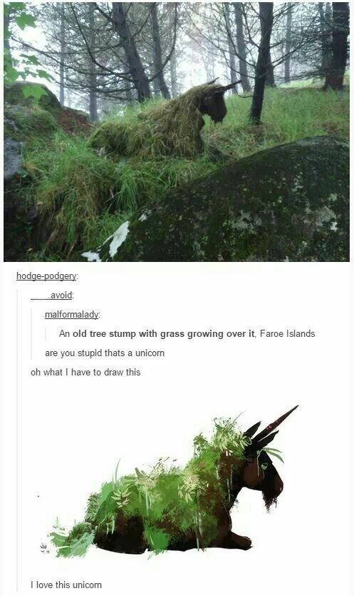 Unicorn or tree stump? yes - meme