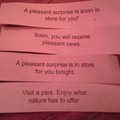 I got 4 fortunes in my fortune cookie and they seem to have a theme