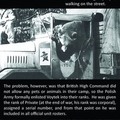 tl;dr: A bear became a Polish soldier in WWII