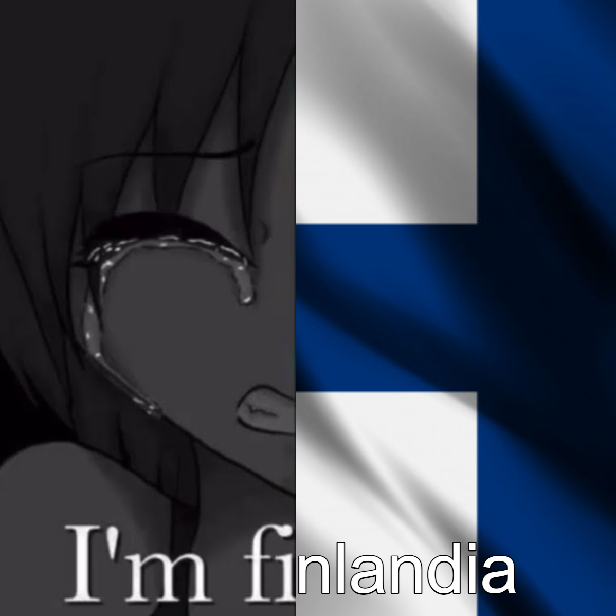 I'm finlandia. Fun fact : sabían que Finlandia es el país más feliz del mundo según la ONU. - meme