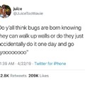 bug 