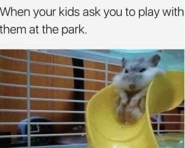 But Daddy, I want a turn! - meme
