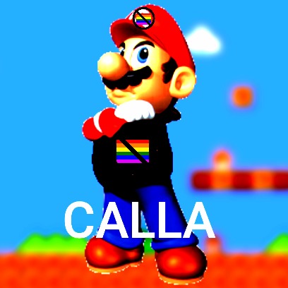 Mario no lgbtq meme