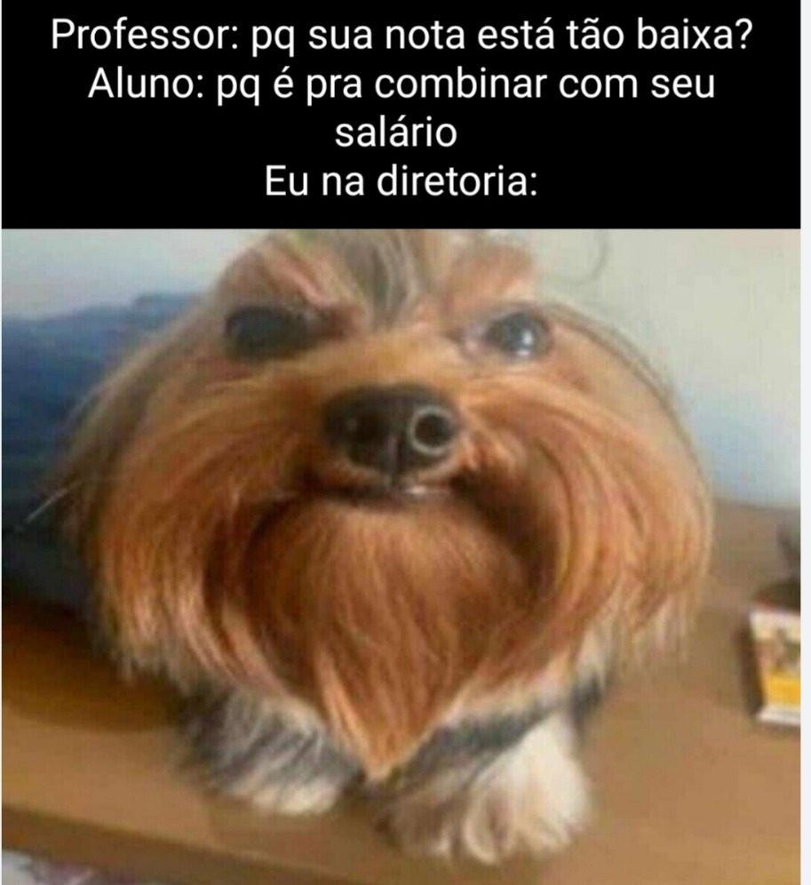 Eu ja fiz isso - meme