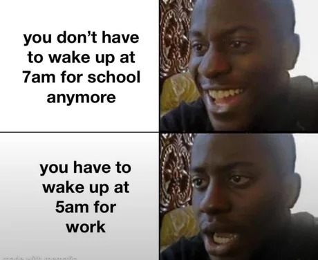 life as a worker - meme