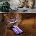 90’s cats