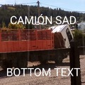 Camión sad bottom text