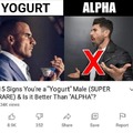 yogurt male is right hand man to sigma