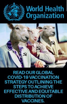 The Globalist three-card monti - meme