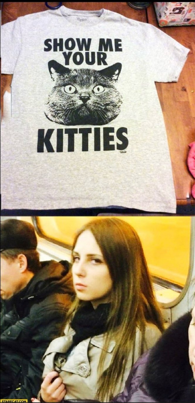 nice kitty - meme