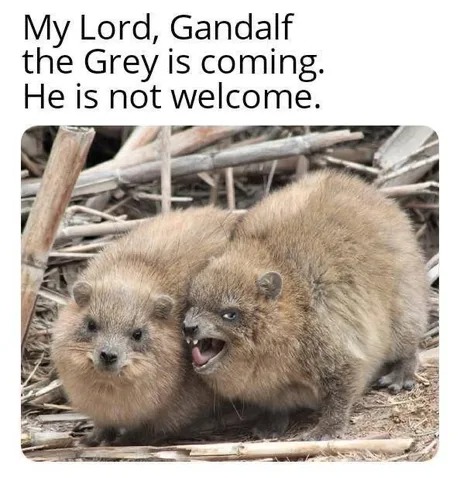 He is not welcome - meme