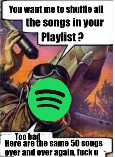 Spotify shuffle: Here's the same 50 songs again, loser - meme
