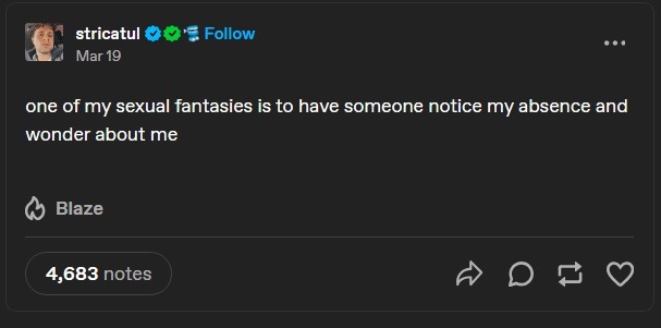 My fantasy? Someone noticing I vanished - meme