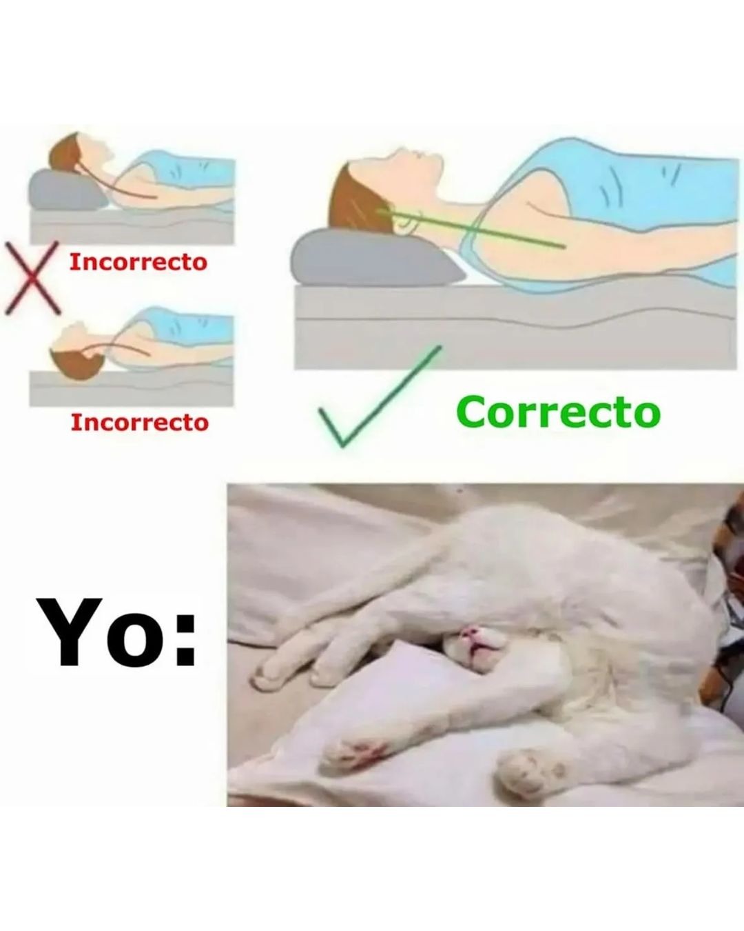 Postura bien saludable - meme