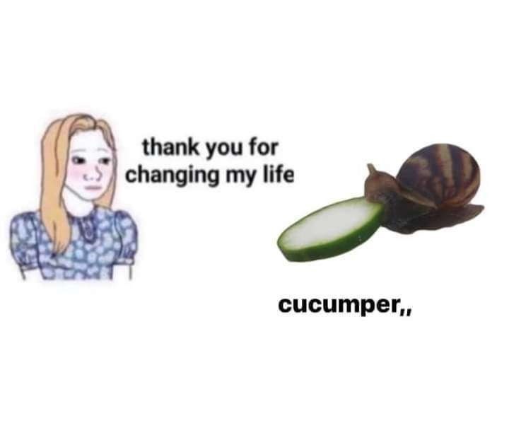 snail has cucmber - meme