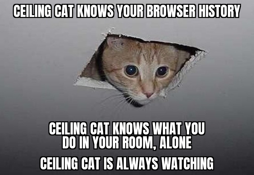 Ceiling Cat can testify in court - meme