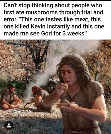 Fist ever mushroom enjoyers - meme
