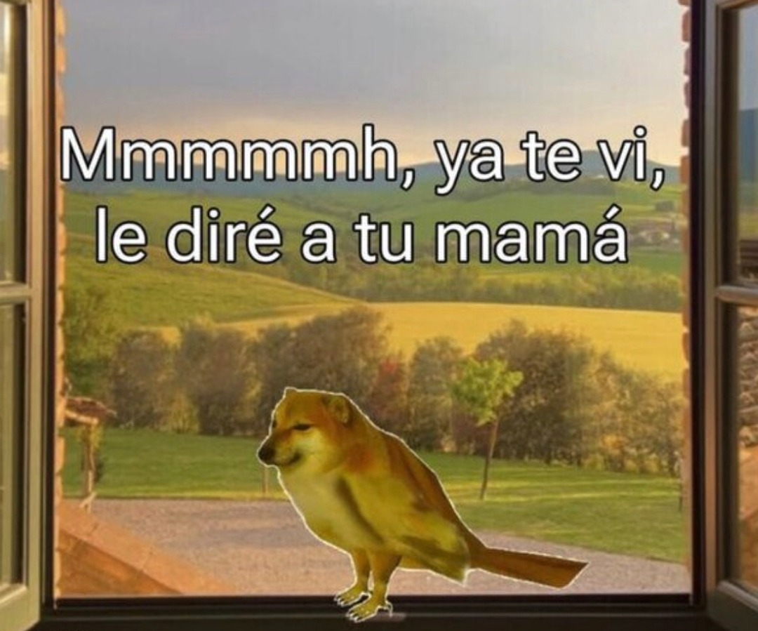 ya te vi, y se lo voy a decir a tu mamá - meme