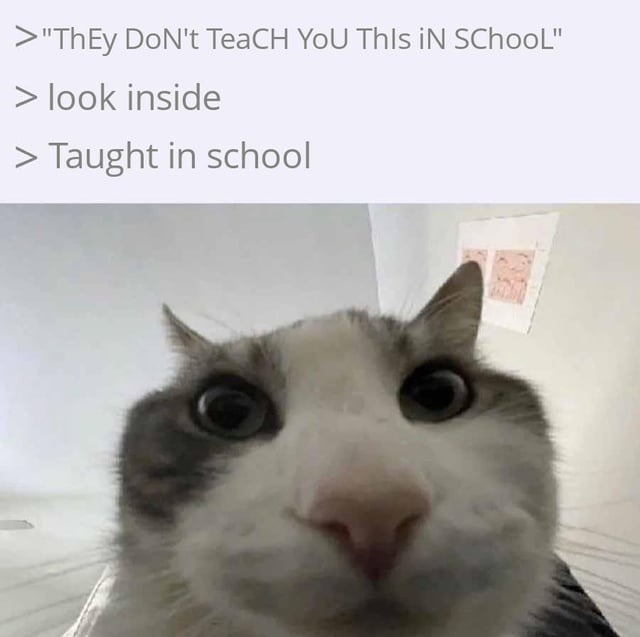 They don’t teach this in school... except they literally do - meme
