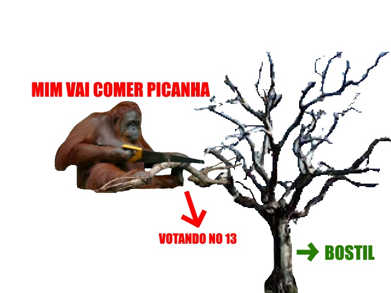 Achou que ia ganhar picanha kkkkkkkkkkkkkk - meme