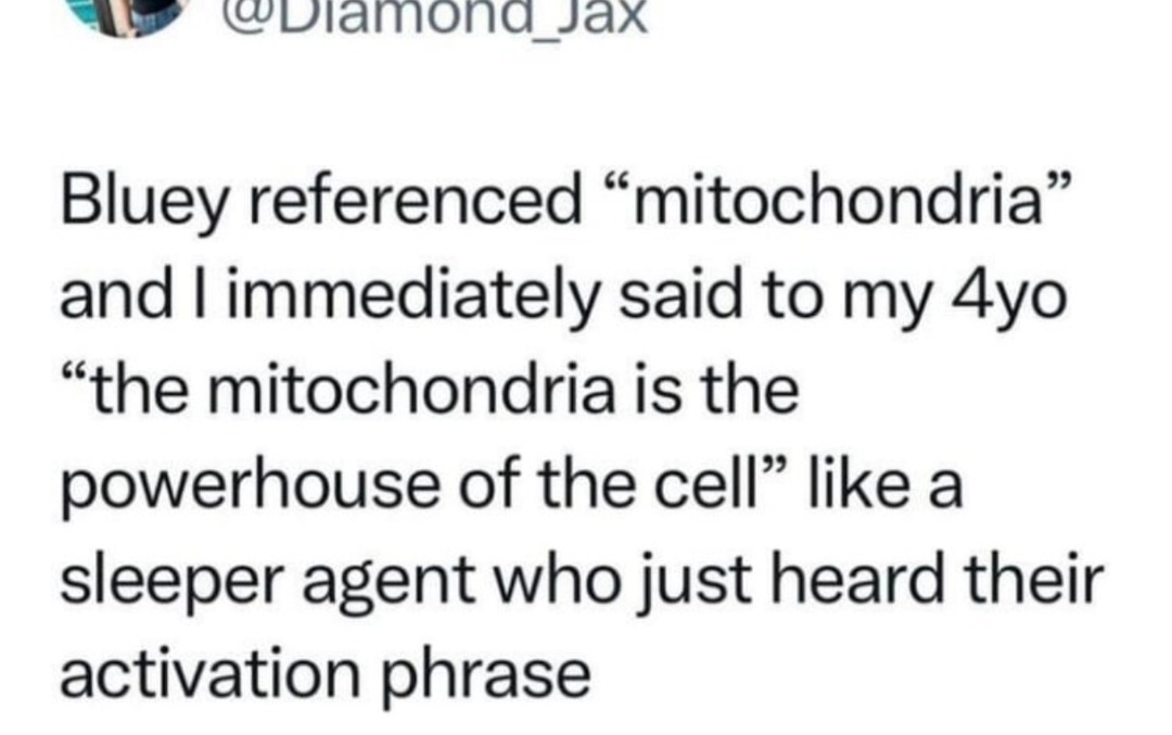 Bluey activated my mitochondria sleeper cell - meme