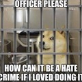 Le hate crime