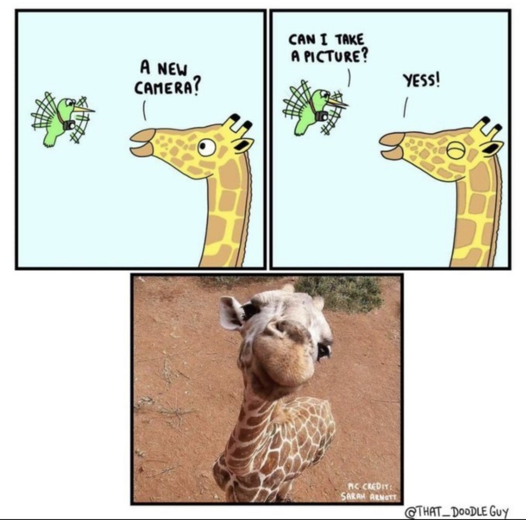 giraffe smile :) - meme