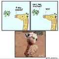 giraffe smile :)