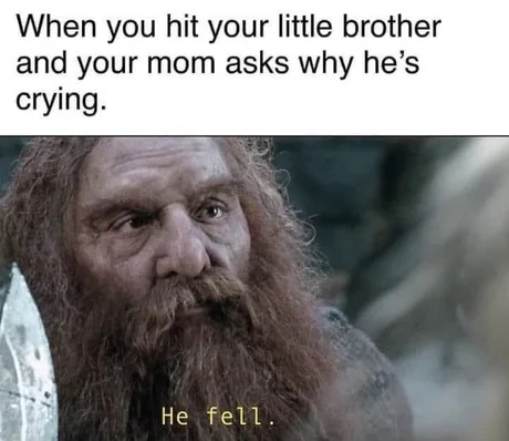 lil brother crying - meme