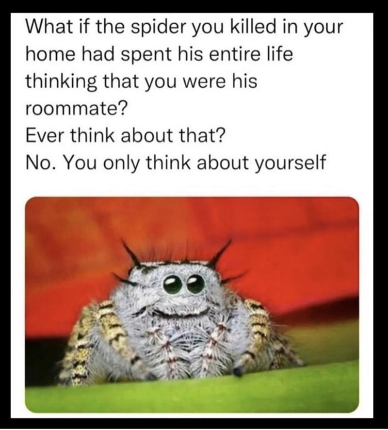 Scary Spider Meme