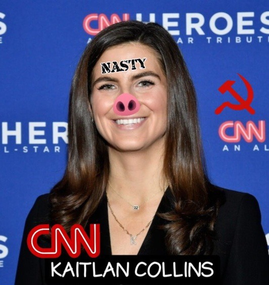 Piglandia - meme