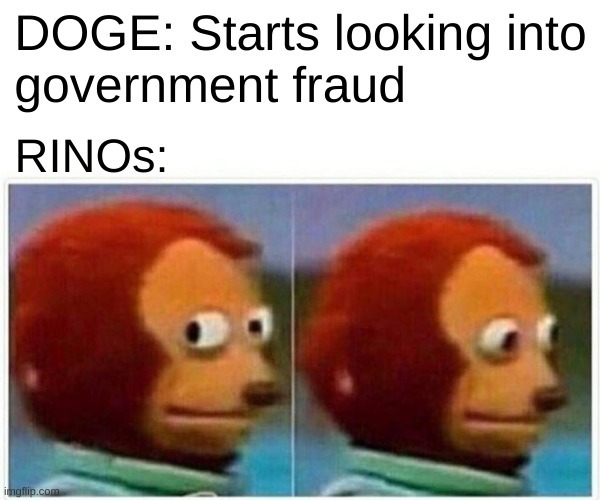 (Republican In Name Only) - meme