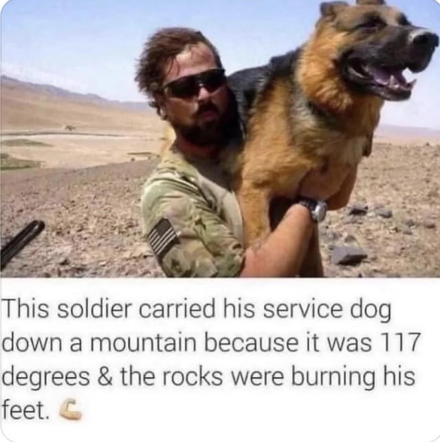 man's best friend carried like royalty - meme