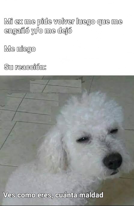 Dah - meme